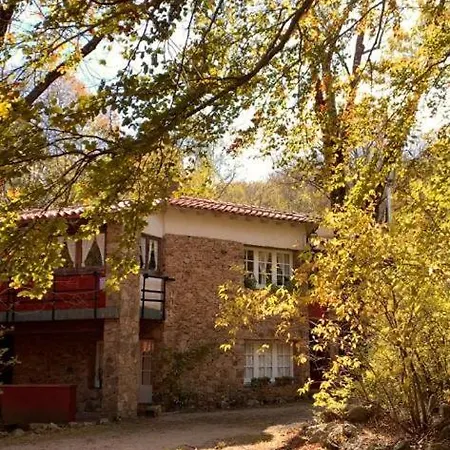 L'avet Blau * Santa Fe de Montseny