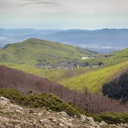 L'avet Blau 旅馆